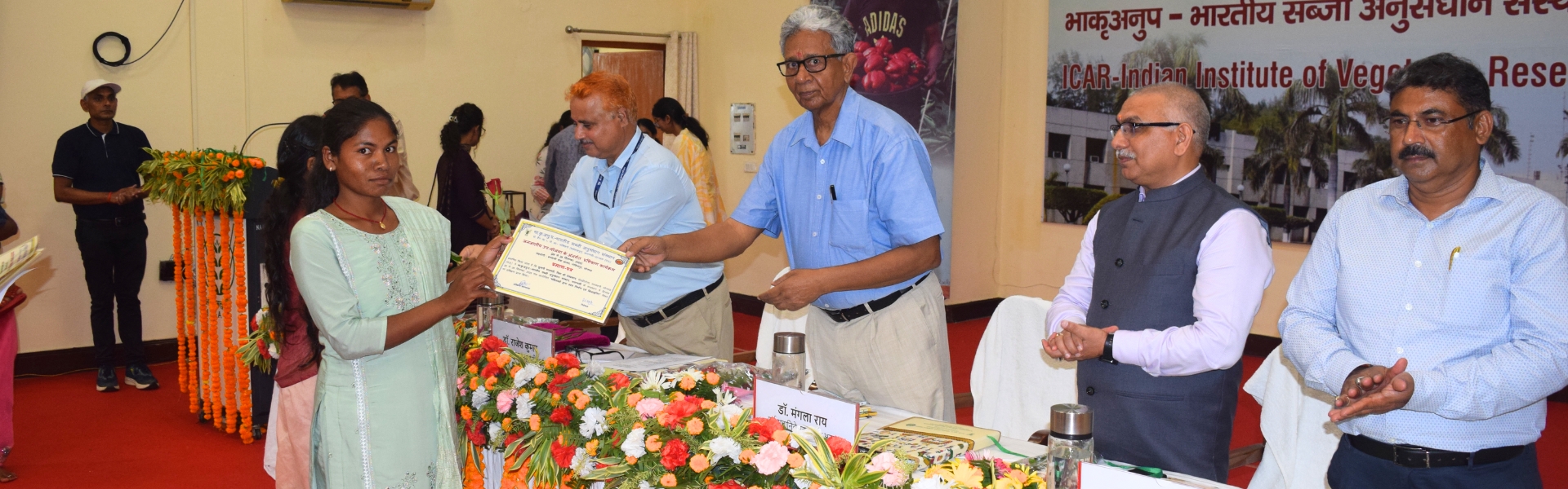 iivr hero image current (14)