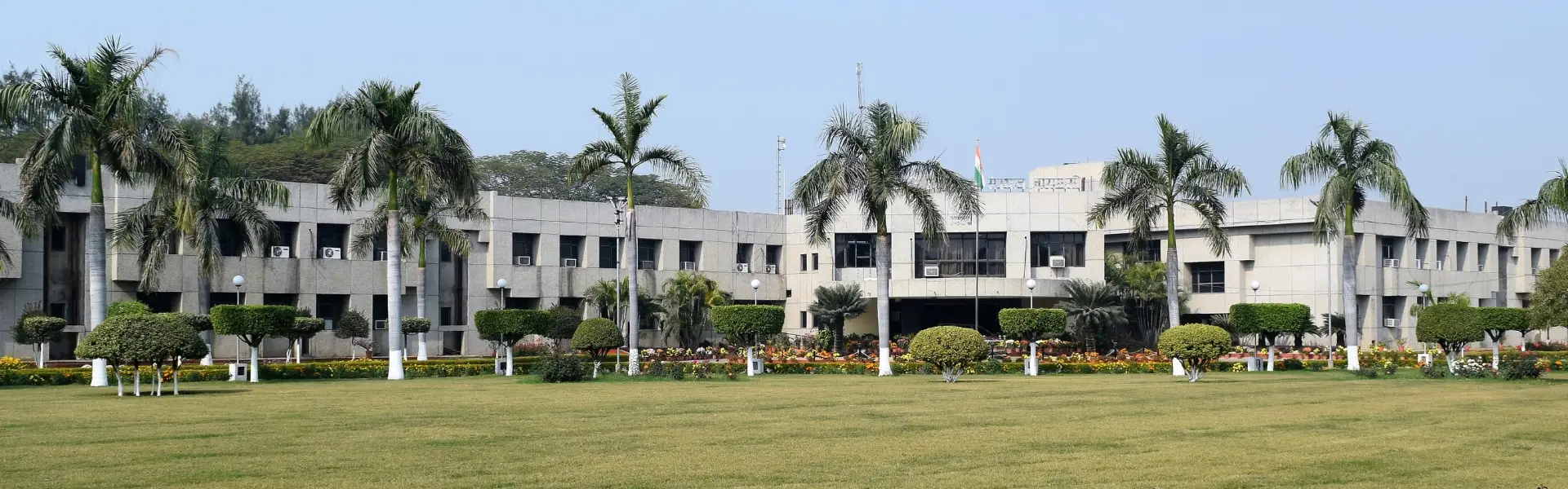 iivr hero image current (9)