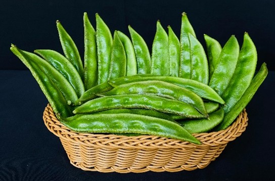 Indian bean Kashi Haritima - Image 2