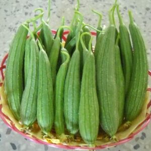 Satputia Kashi Khushi