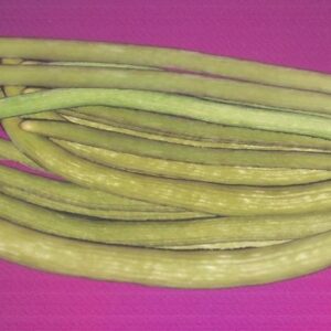 Long melon Kashi Santushti