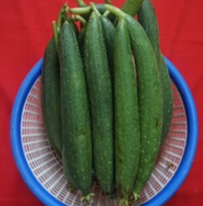 Sponge gourd Kashi Shreya