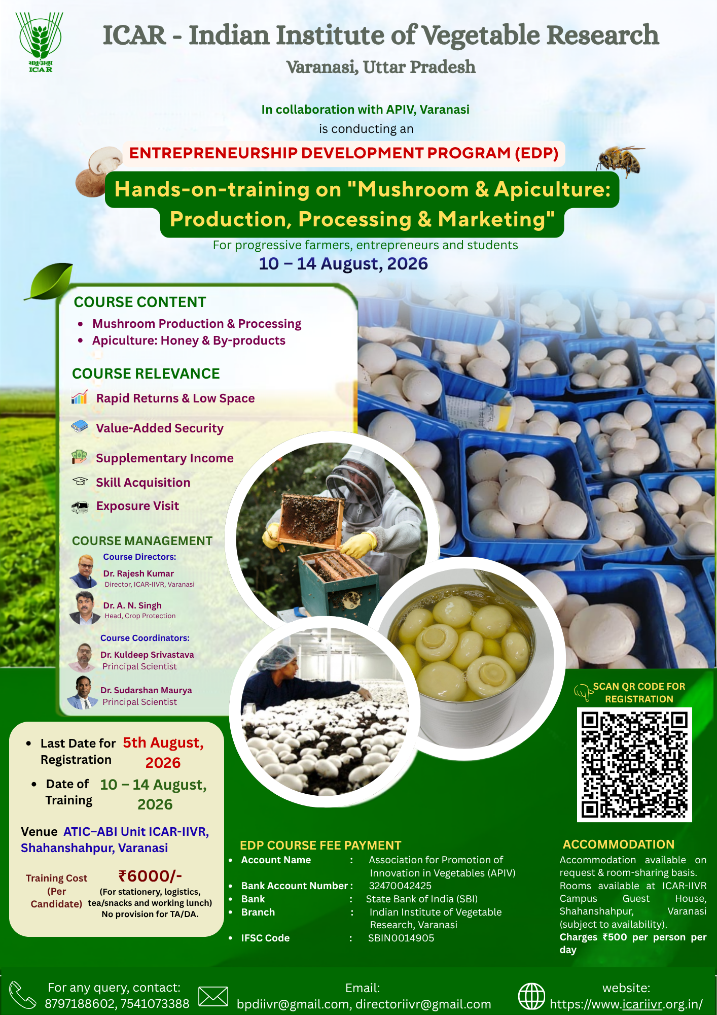 EDP Hands-on training — Mushroom & Apiculture: Production, Processing & Marketing. 10–14 August 2026 at ICAR-IIVR, Varanasi. Last date to register: 5 August 2026. Fee ₹6000.